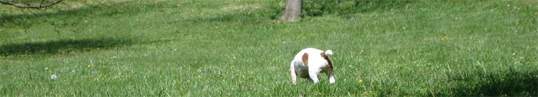 Asin gays school horny on the busy porn live know header image 2